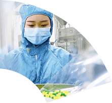 bevictor伟德官网 - 韦德官方网站