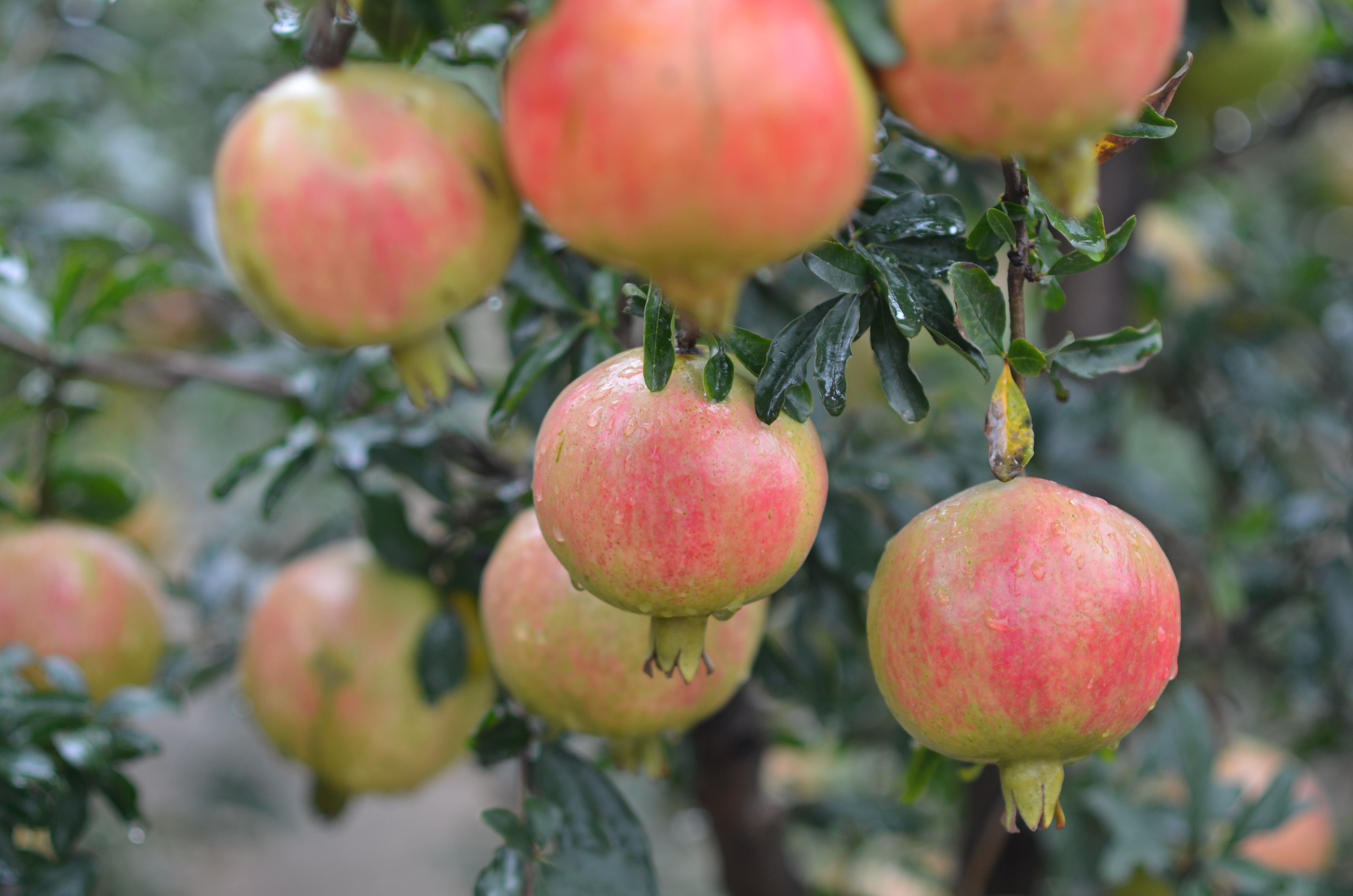 bevictor伟德官网 - 韦德官方网站