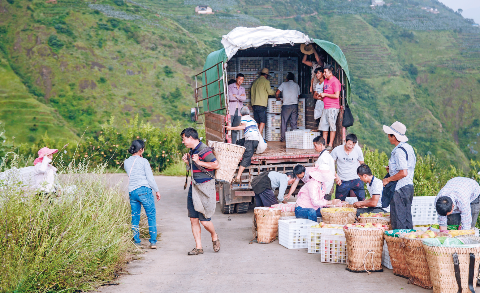 bevictor伟德官网 - 韦德官方网站