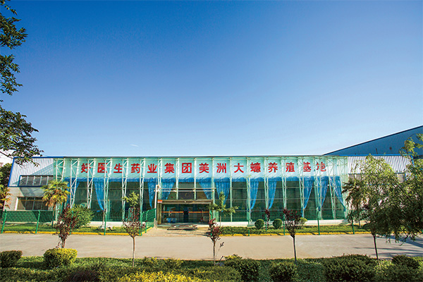 bevictor伟德官网 - 韦德官方网站