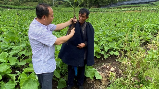 bevictor伟德官网 - 韦德官方网站