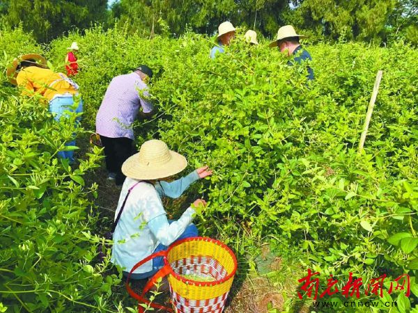 bevictor伟德官网 - 韦德官方网站