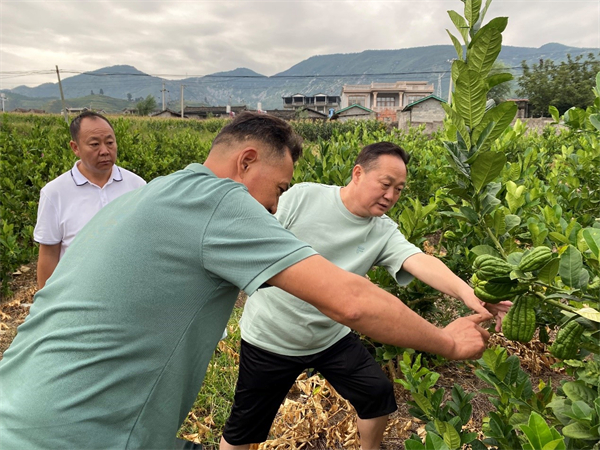 bevictor伟德官网 - 韦德官方网站