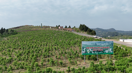 bevictor伟德官网 - 韦德官方网站