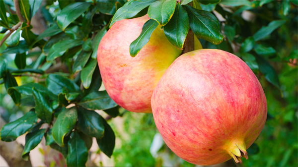 bevictor伟德官网 - 韦德官方网站