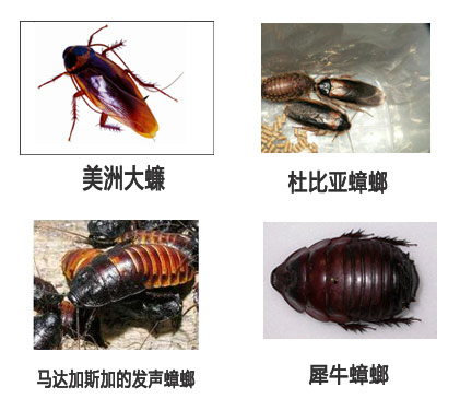 bevictor伟德官网 - 韦德官方网站