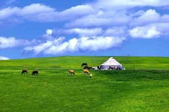 bevictor伟德官网 - 韦德官方网站