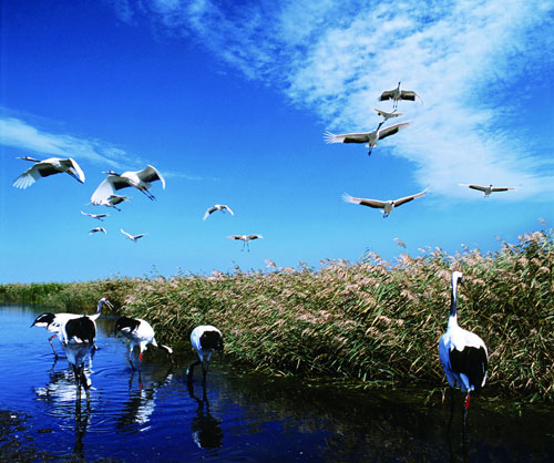 bevictor伟德官网 - 韦德官方网站