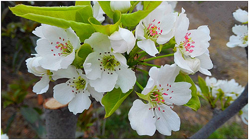 bevictor伟德官网 - 韦德官方网站