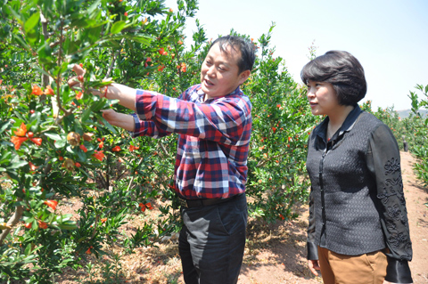 bevictor伟德官网 - 韦德官方网站