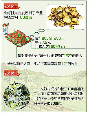 bevictor伟德官网 - 韦德官方网站