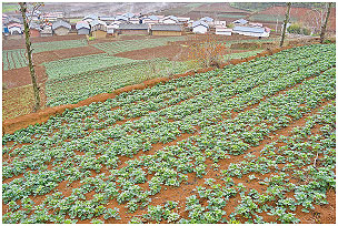 众人拾柴火焰高