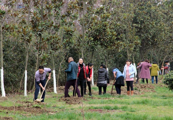 bevictor伟德官网 - 韦德官方网站