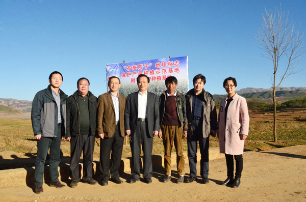 bevictor伟德官网 - 韦德官方网站