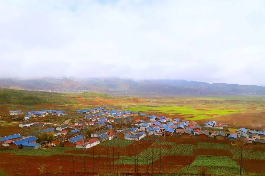 附子发动下的火灯村一角