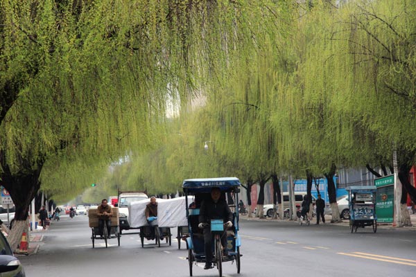 bevictor伟德官网 - 韦德官方网站