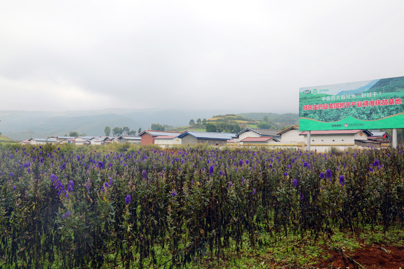 bevictor伟德官网 - 韦德官方网站