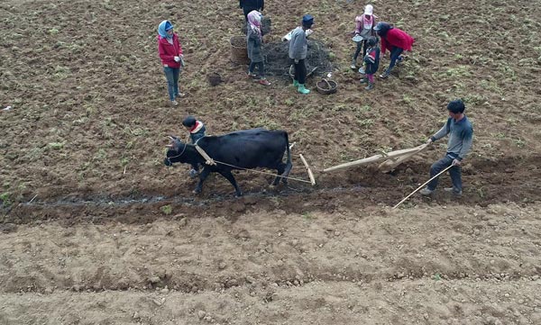 bevictor伟德官网 - 韦德官方网站