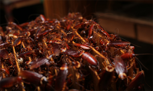 bevictor伟德官网 - 韦德官方网站