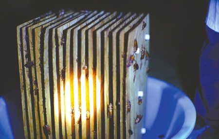 bevictor伟德官网 - 韦德官方网站