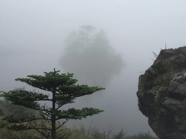 bevictor伟德官网 - 韦德官方网站