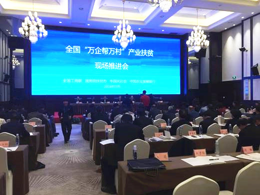 bevictor伟德官网 - 韦德官方网站