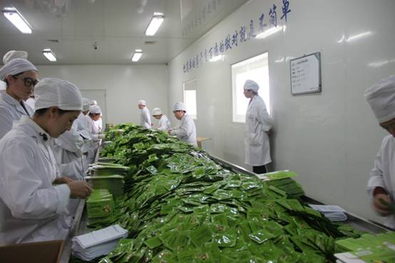 bevictor伟德官网 - 韦德官方网站