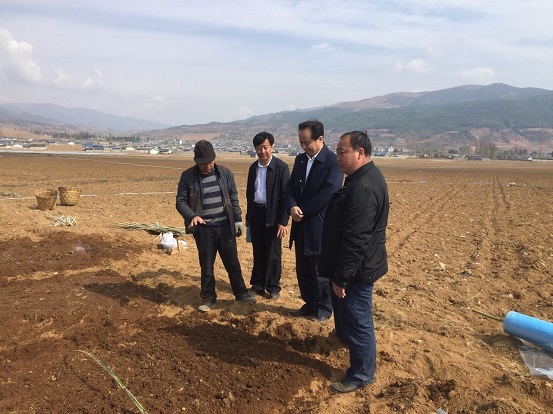 bevictor伟德官网 - 韦德官方网站