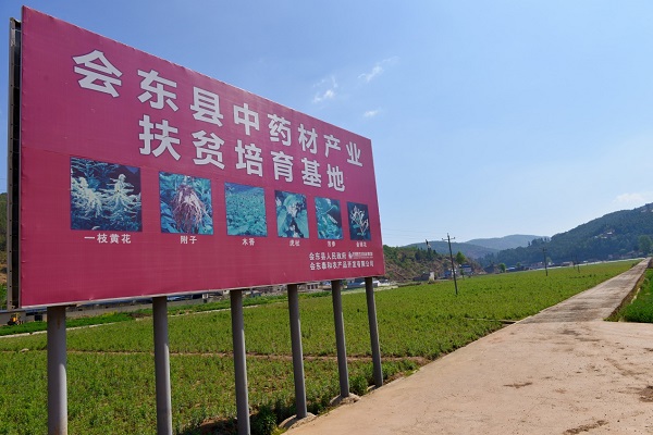 bevictor伟德官网 - 韦德官方网站