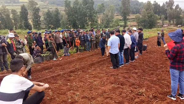 bevictor伟德官网 - 韦德官方网站