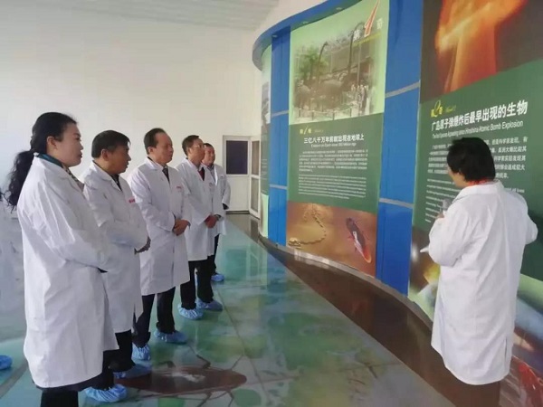 bevictor伟德官网 - 韦德官方网站