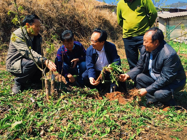 bevictor伟德官网 - 韦德官方网站