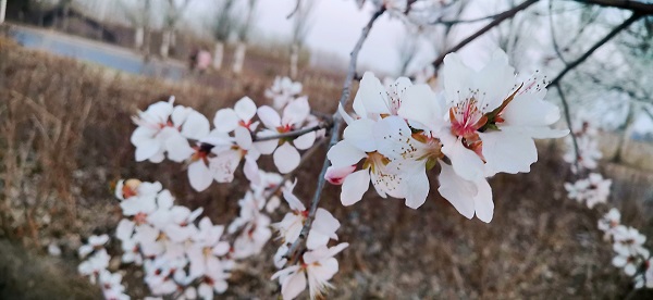 bevictor伟德官网 - 韦德官方网站