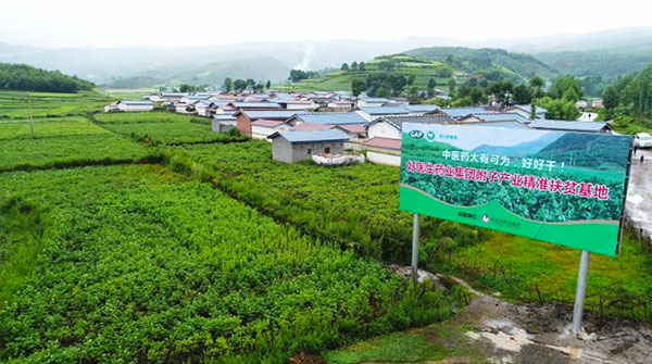 bevictor伟德官网 - 韦德官方网站