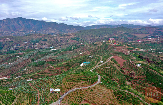 bevictor伟德官网 - 韦德官方网站