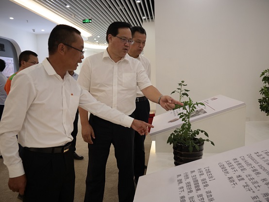 bevictor伟德官网 - 韦德官方网站