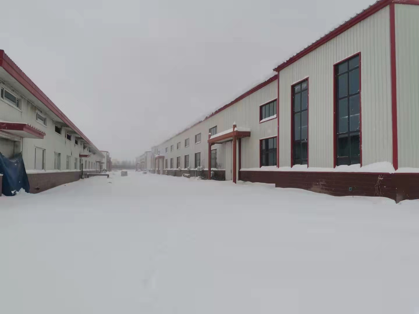 bevictor伟德官网 - 韦德官方网站