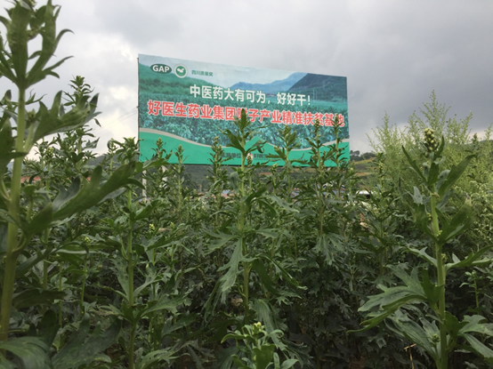 bevictor伟德官网 - 韦德官方网站