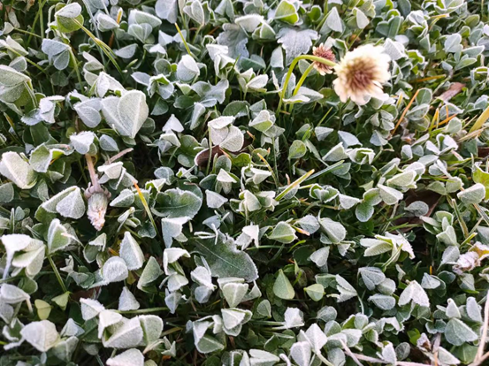 bevictor伟德官网 - 韦德官方网站