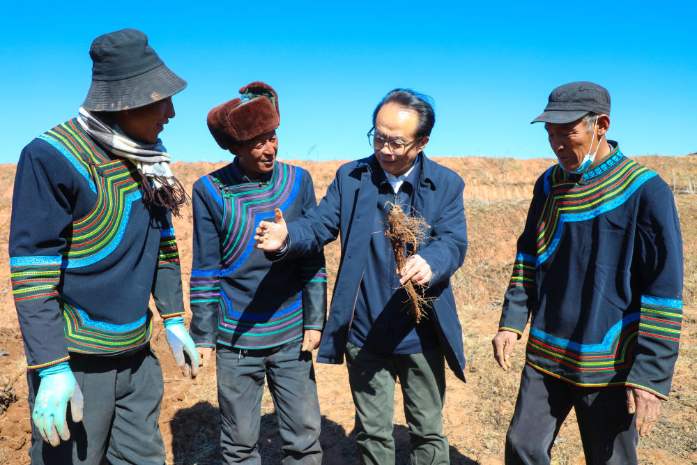 bevictor伟德官网 - 韦德官方网站