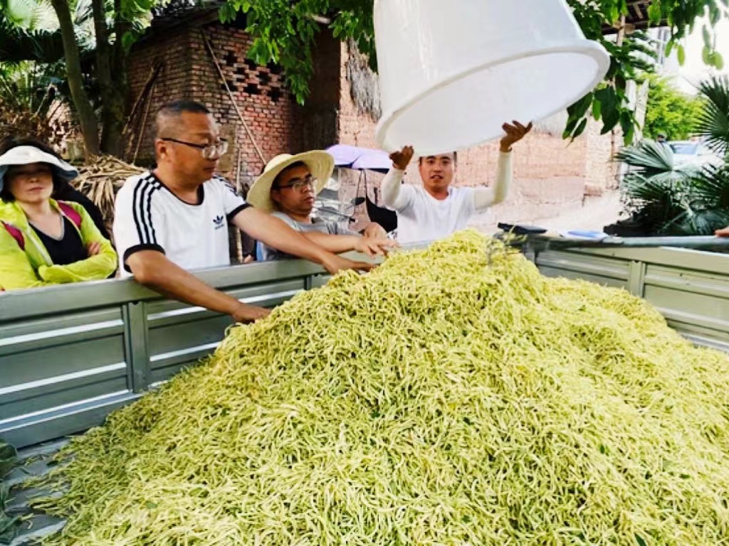 bevictor伟德官网 - 韦德官方网站