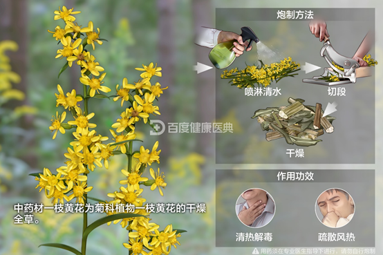 bevictor伟德官网 - 韦德官方网站