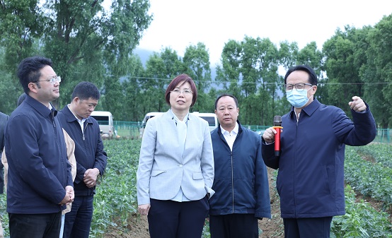 bevictor伟德官网 - 韦德官方网站