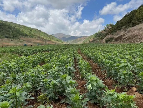 bevictor伟德官网 - 韦德官方网站