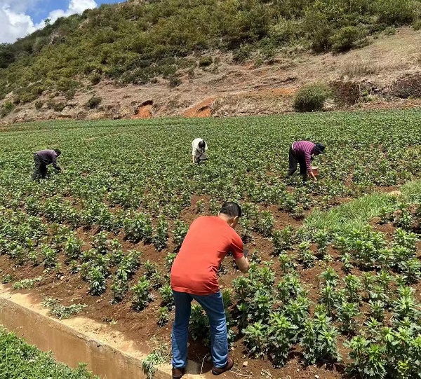 bevictor伟德官网 - 韦德官方网站